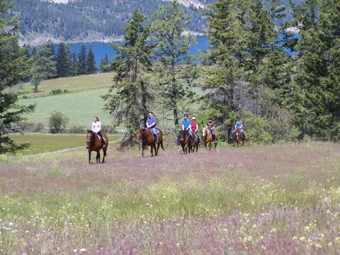 Bridlewood Riding Centre景点图片