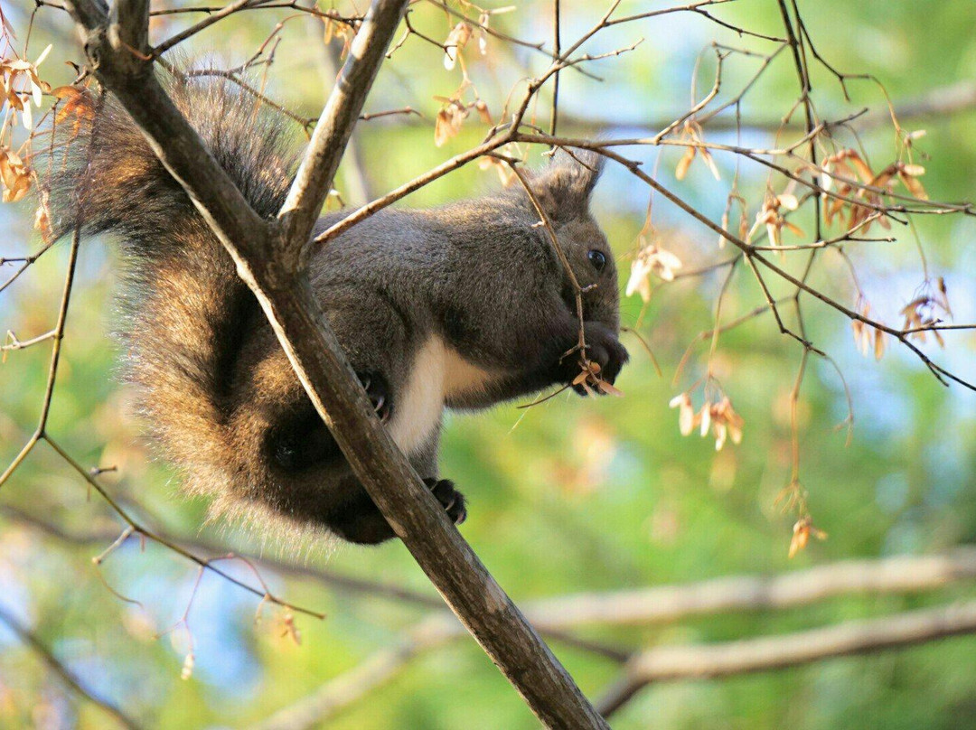 Gyokusenkan Atochi Park-岩见泽市必去景点