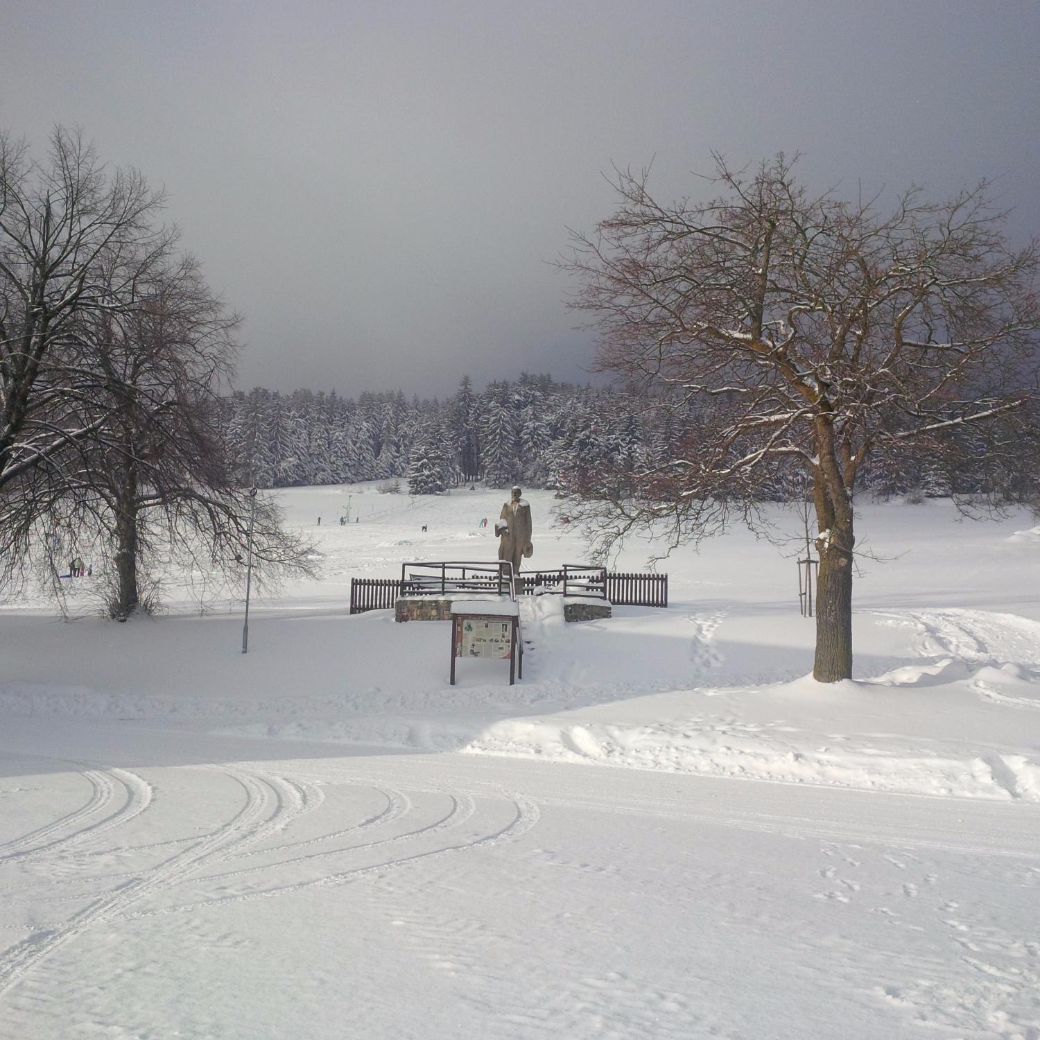 克拉斯娜维赫利德卡酒店-酒店景观
