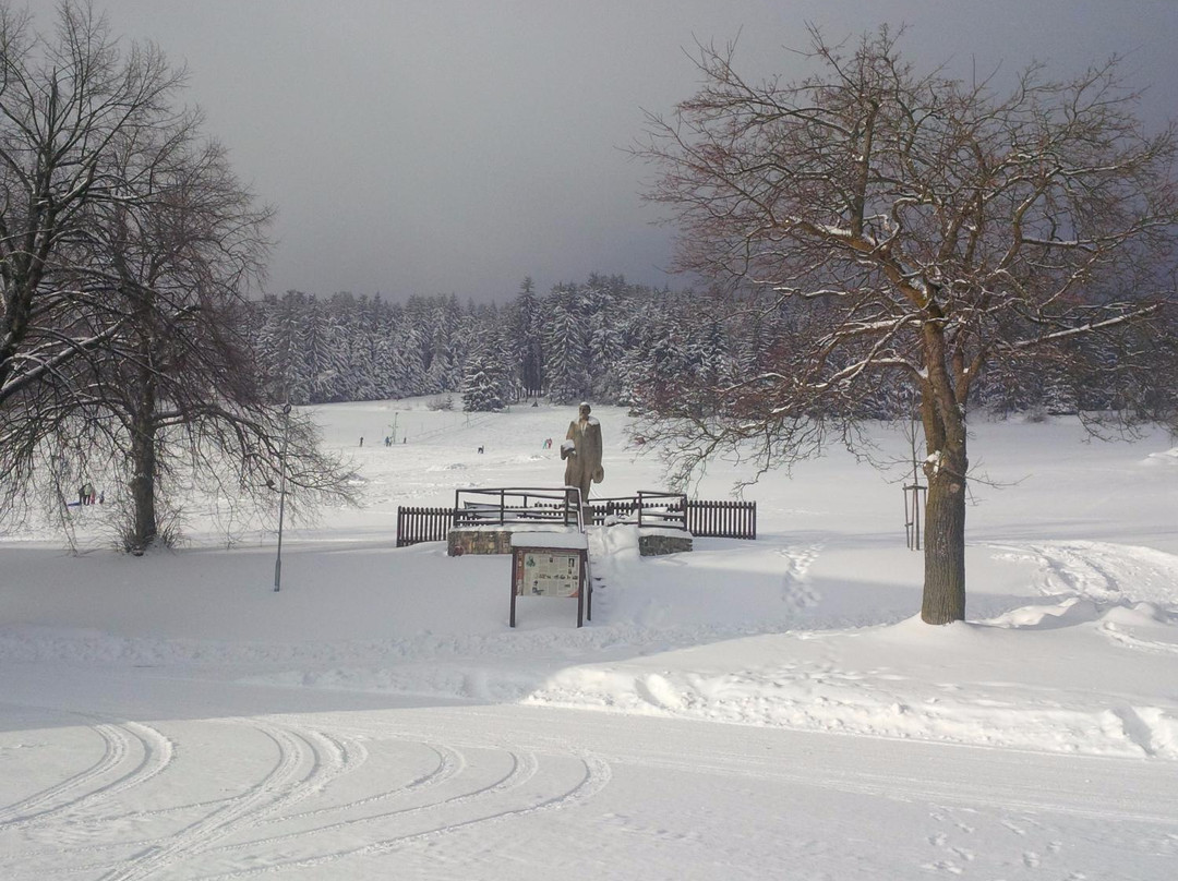 克拉斯娜维赫利德卡酒店主图