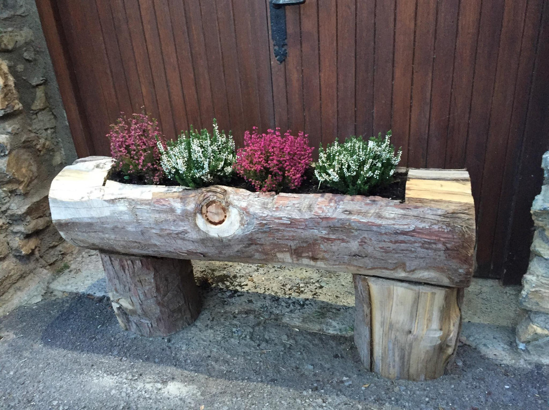 Hostal Ca L'Anton主图