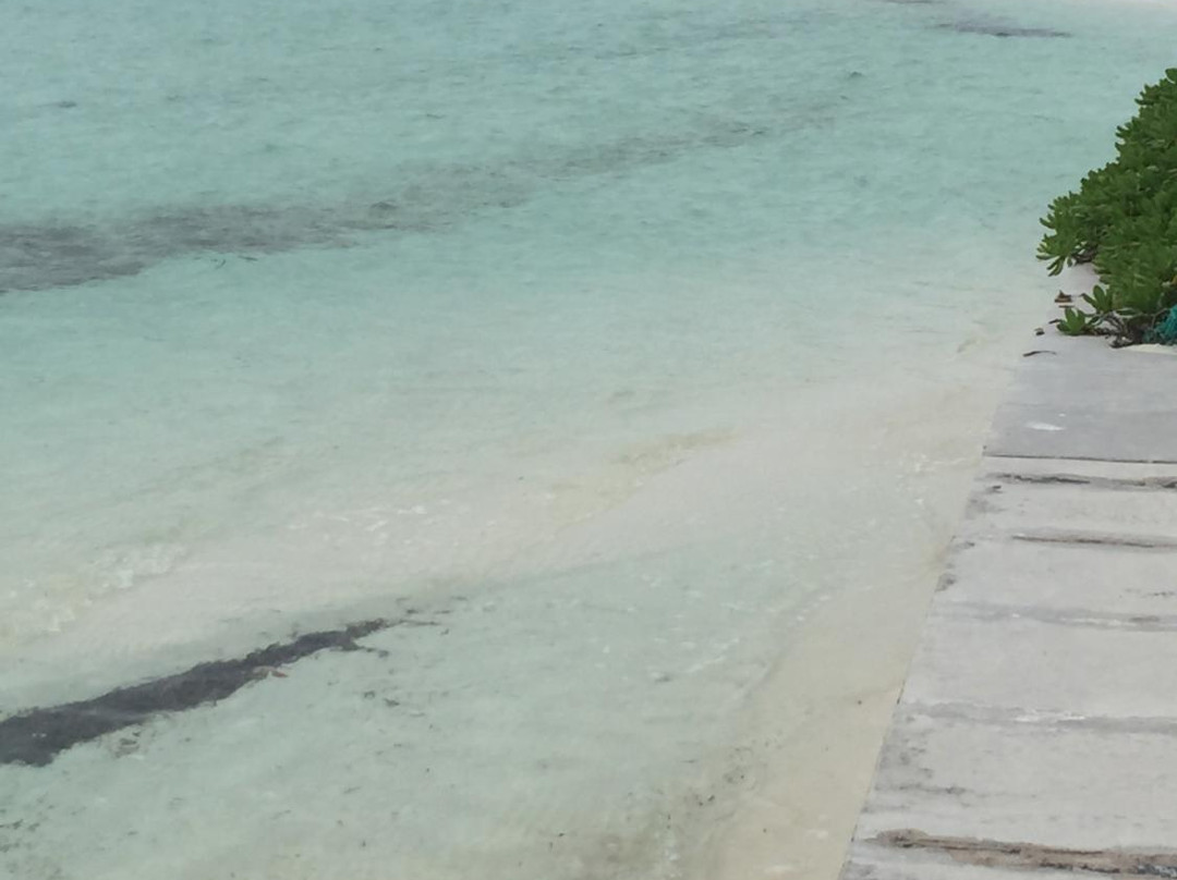 Windward Point-Treasure Cay必去景点