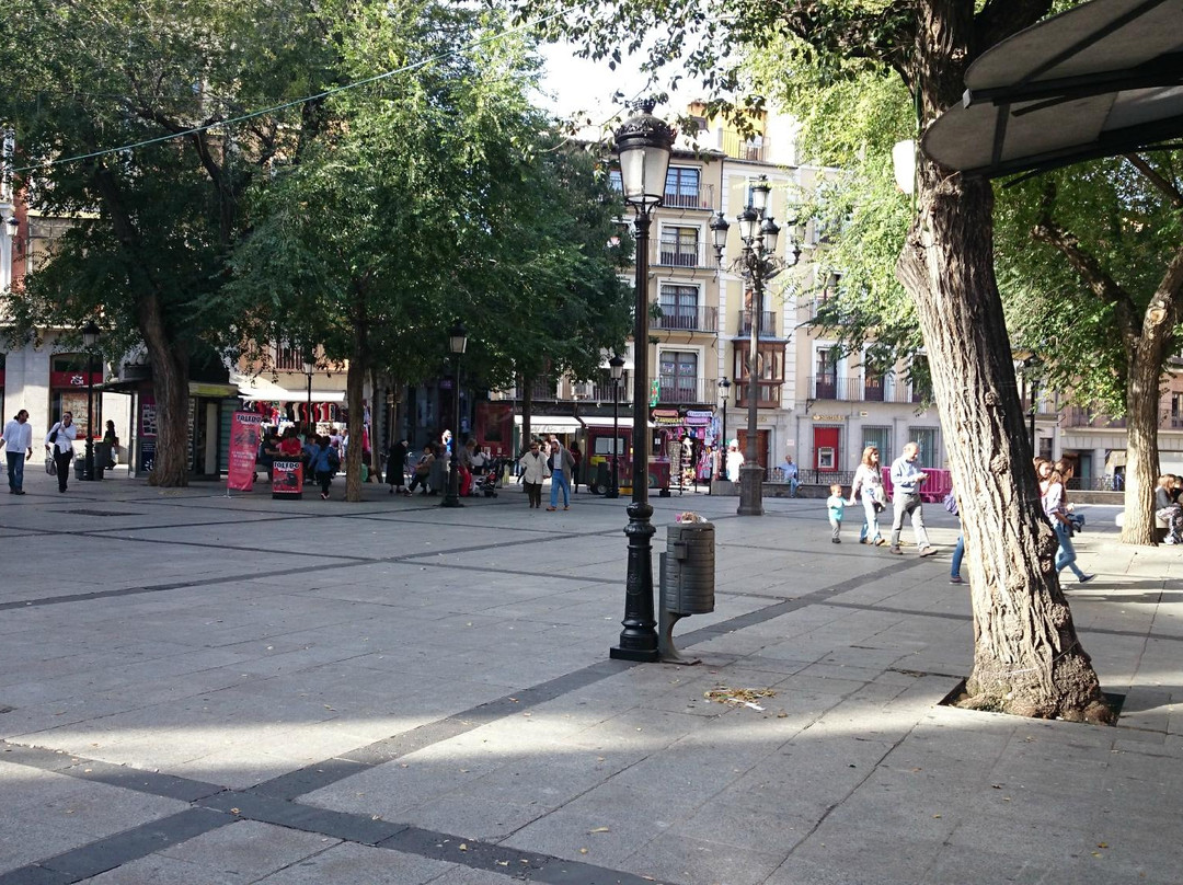 Zocoloco景点图片