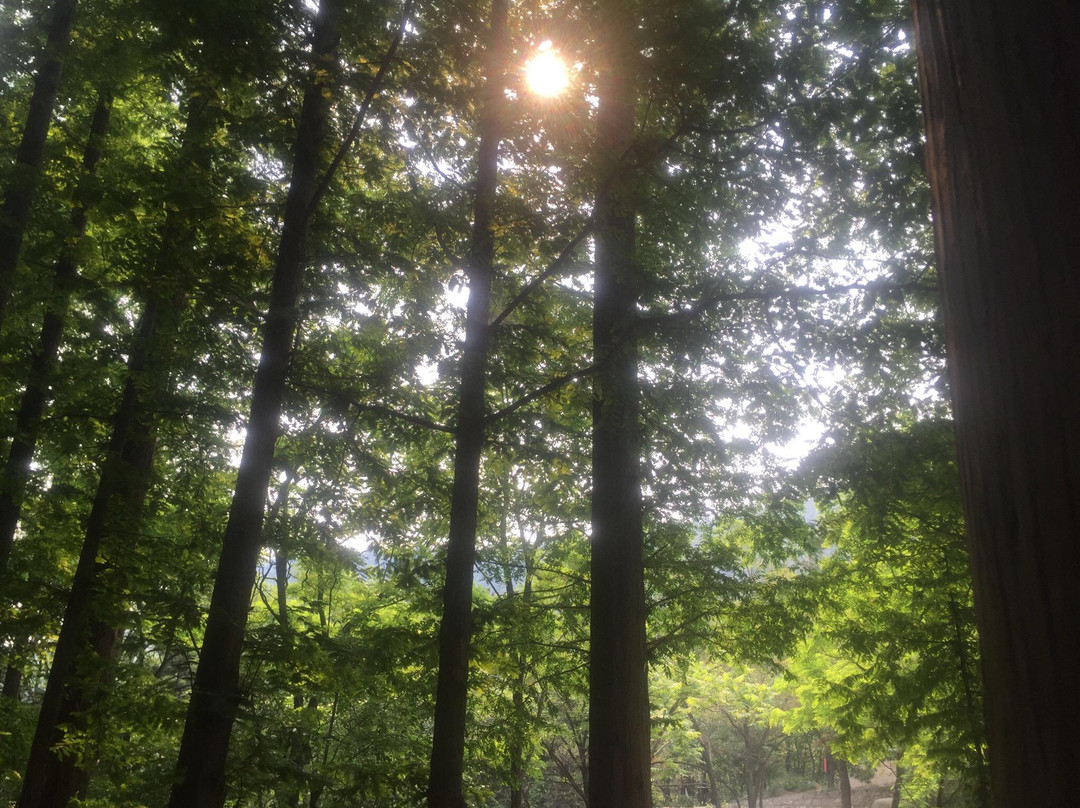 沂蒙山龟蒙景区（原平邑蒙山）-平邑县必去景点