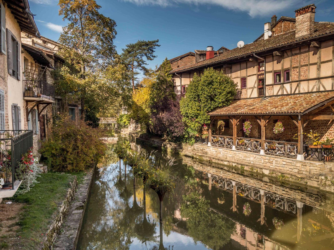 Cité médiévale de Chatillon-sur-Chalaronne景点图片