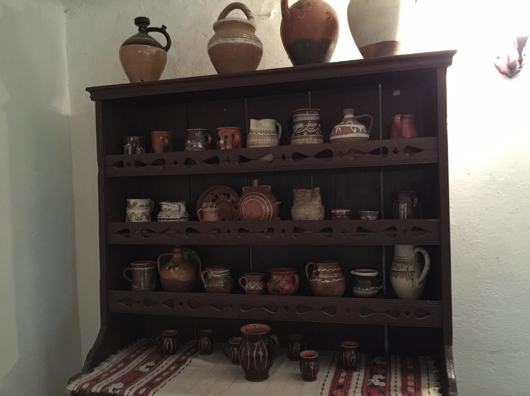 Village Museum of Valcea County景点图片