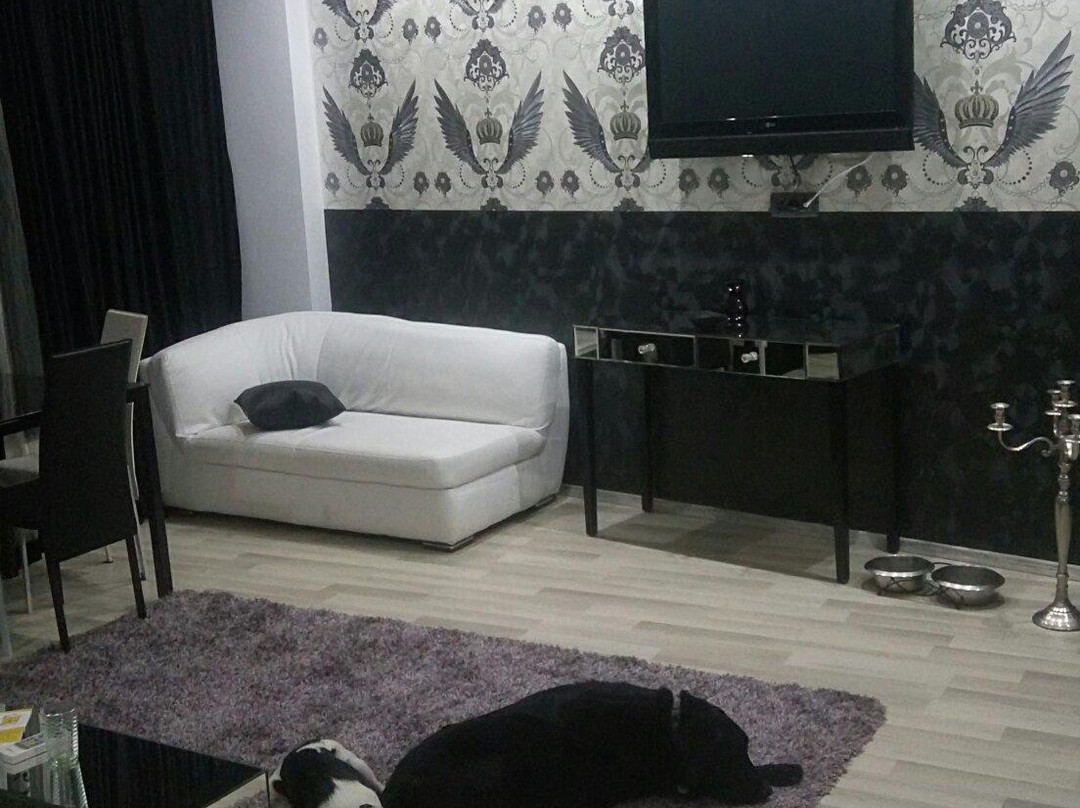 Aparthotel Domneasca 228