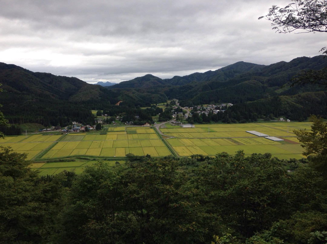 Inaniwa Castle景点图片