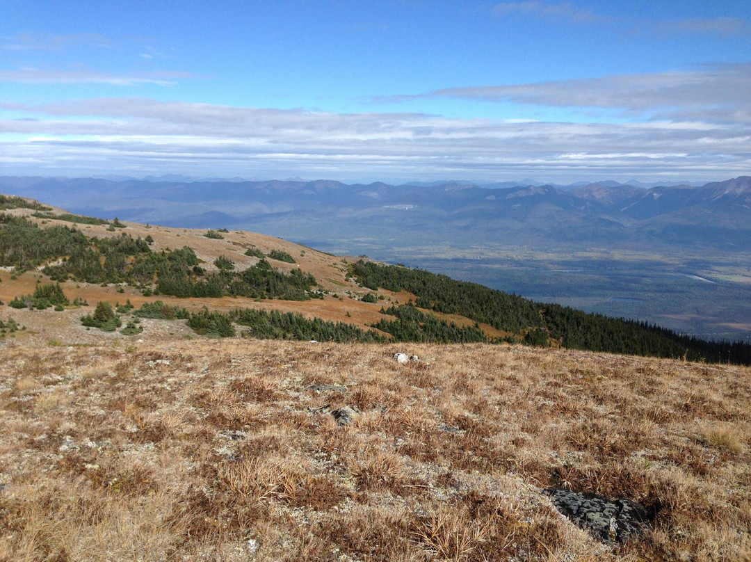Sugarbowl-Grizzly Den Provincial Park and Protected Area景点图片