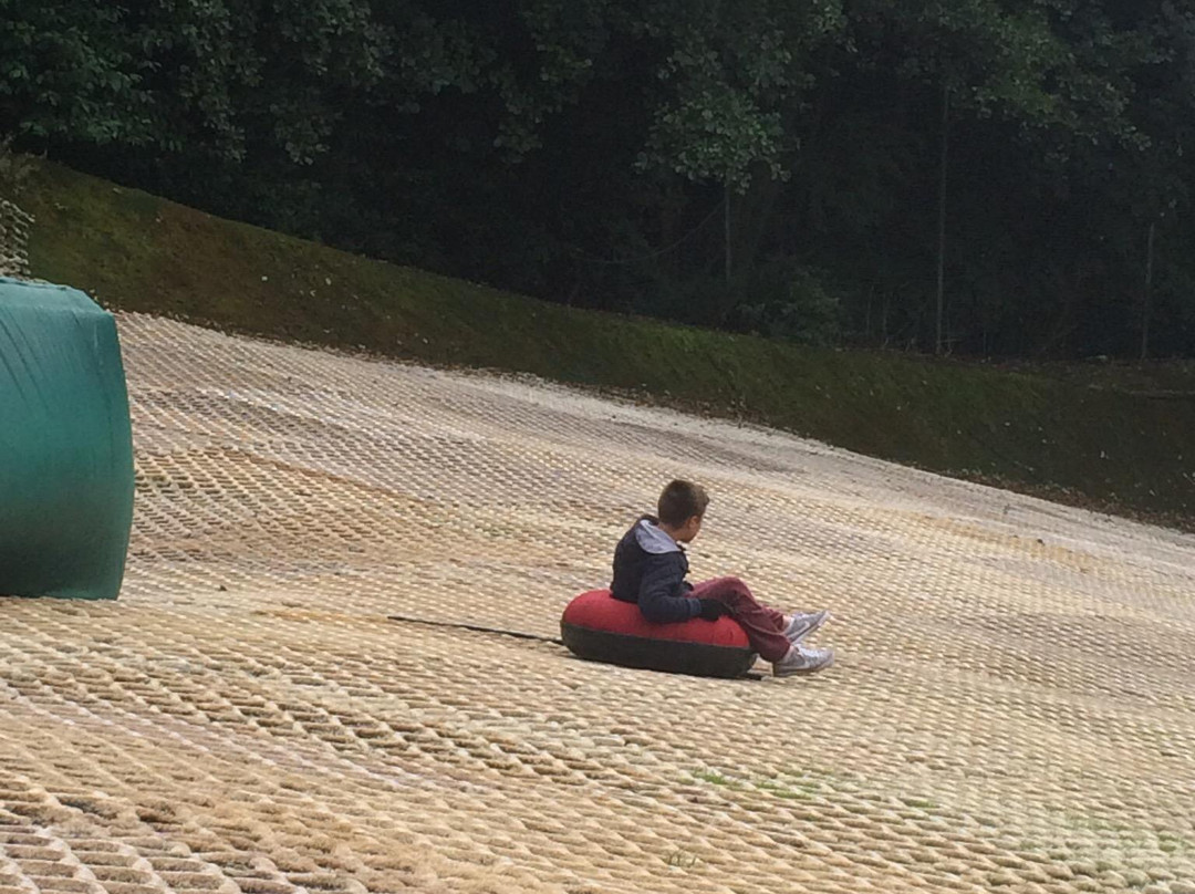 Brentwood Park Ski & Snowboard Centre景点图片