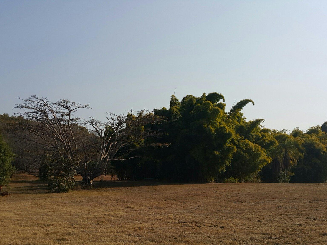 Ewanrigg Botanical Gardens景点图片