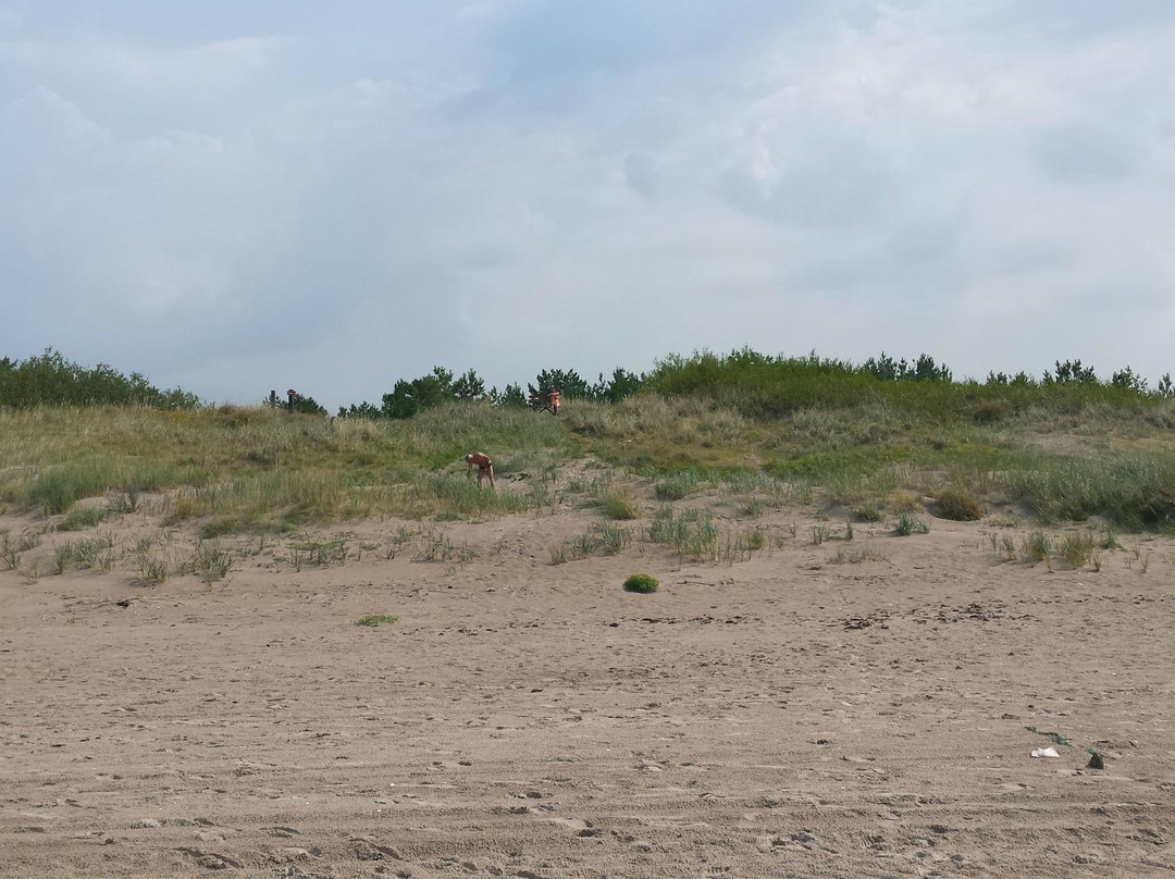 Jurmalciems beach-Jurmalciems必去景点