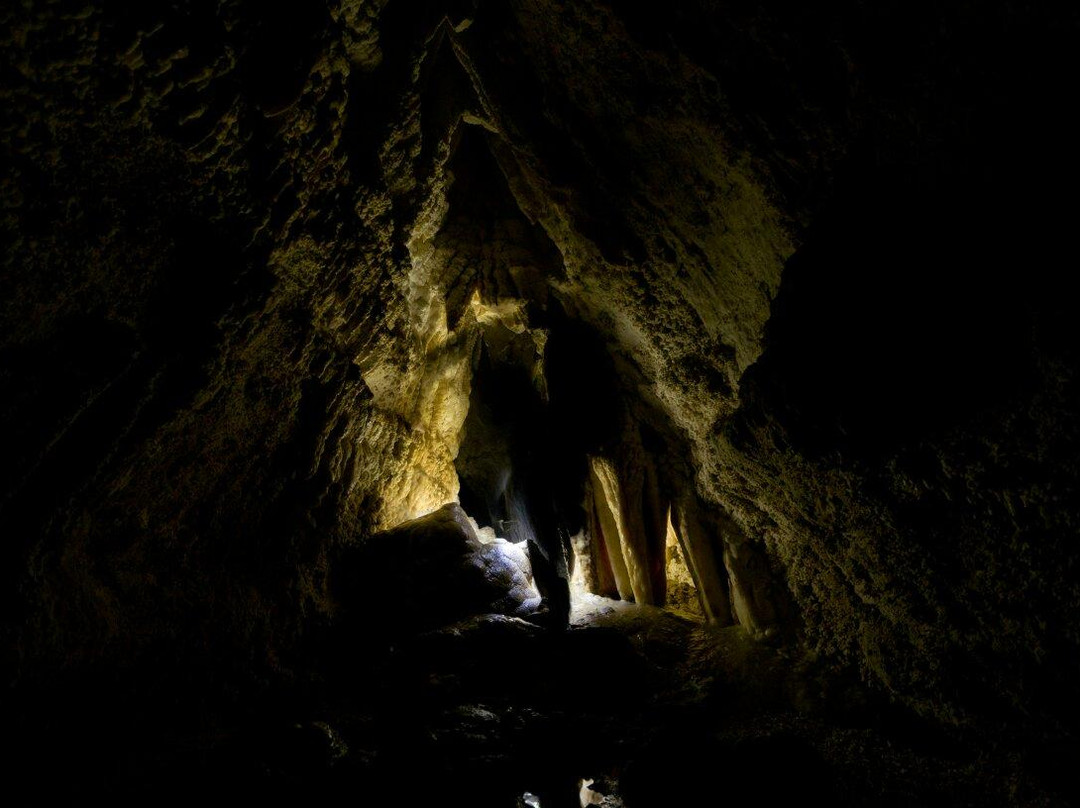 Mangaone Caves Track-Wairoa必去景点