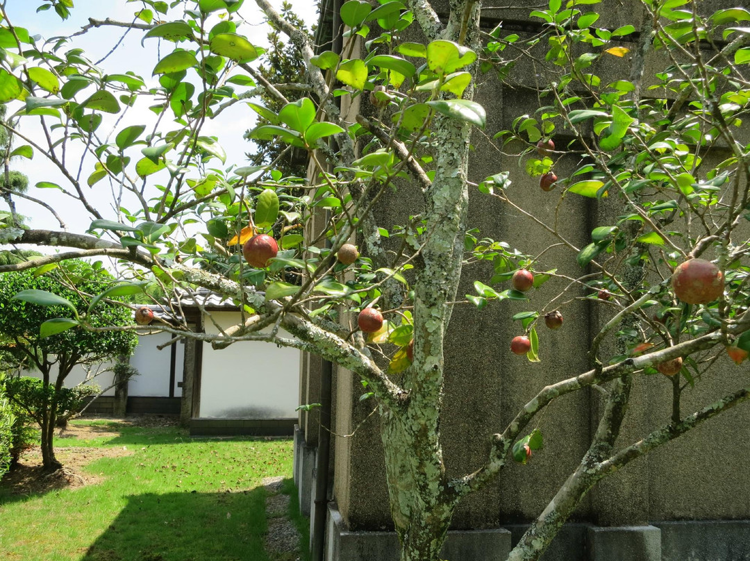 Takeo City Cultural Center Garden-武雄市必去景点