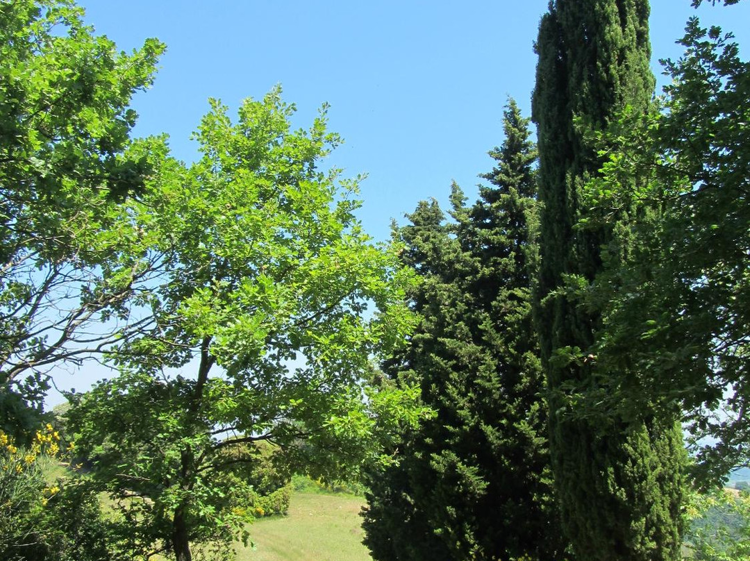 Rocca Di Montanino景点图片