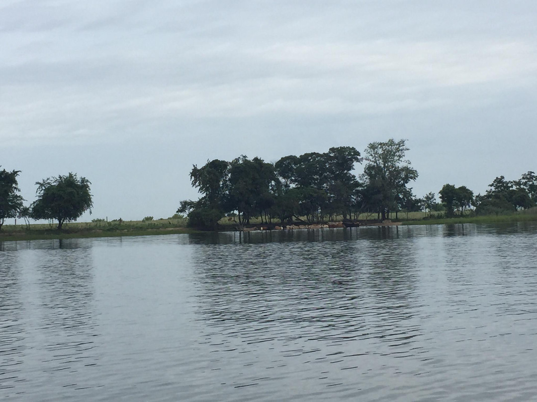 Tilghman Island Marina景点图片