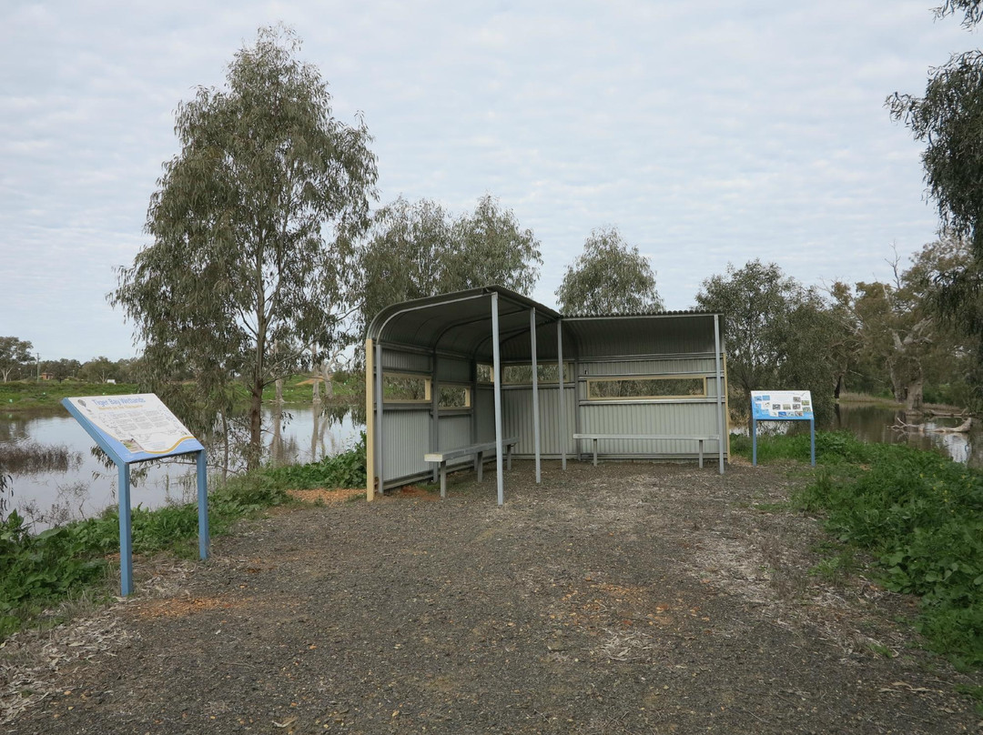 Tiger Bay Wetlands-Warren必去景点