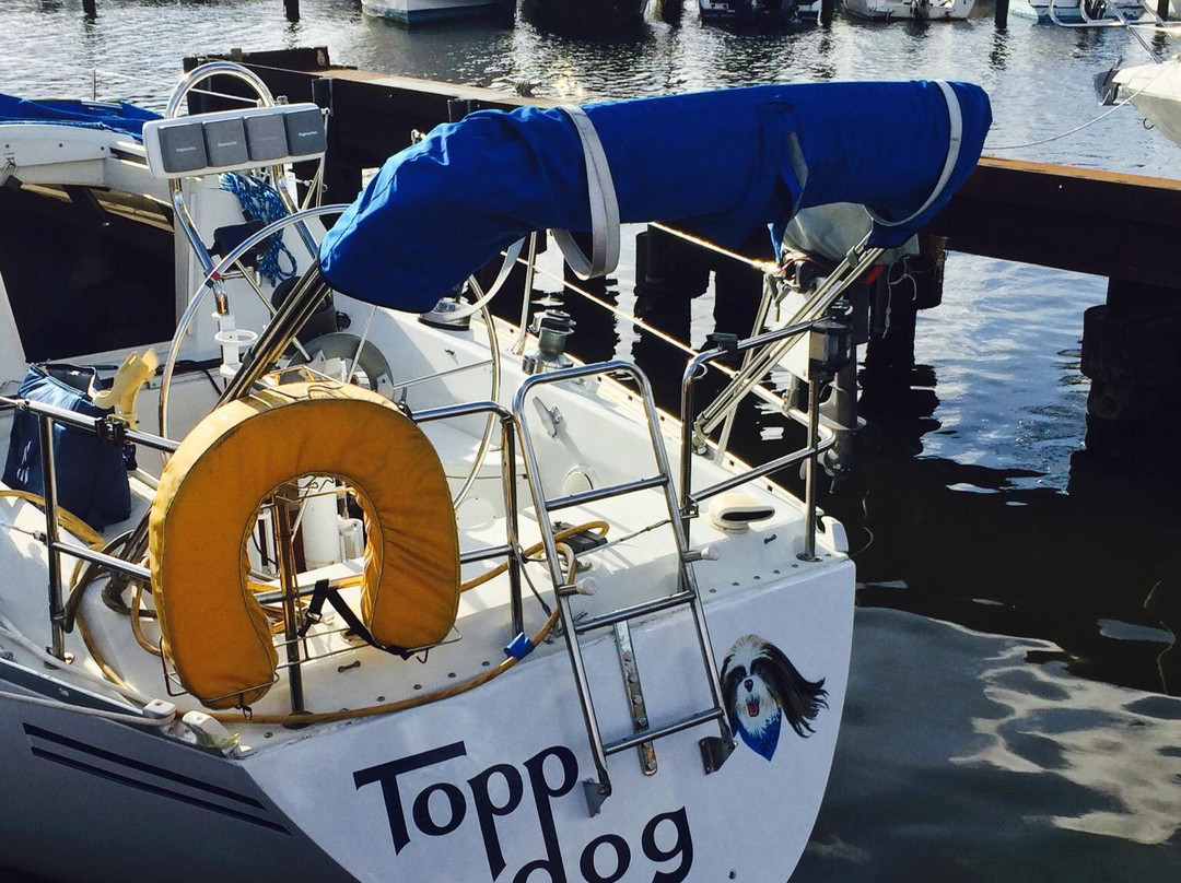 Crandon Park Marina-比斯坎湾必去景点
