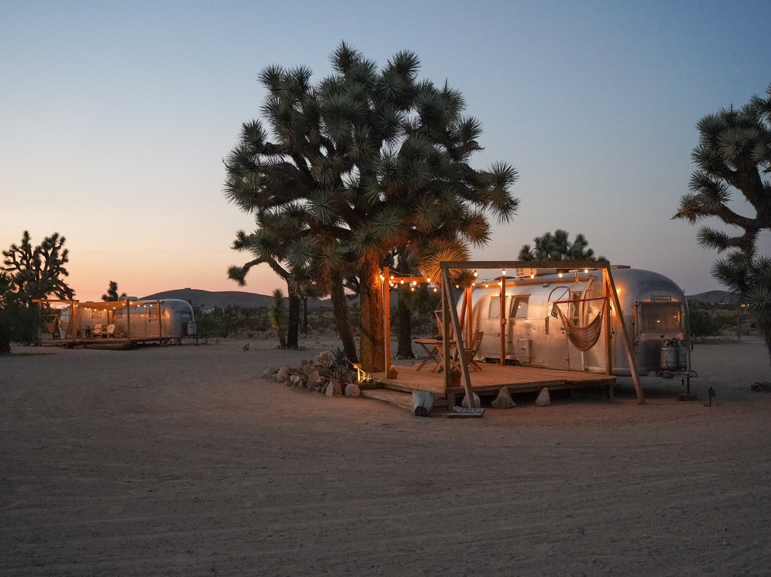 Joshua Tree Acres