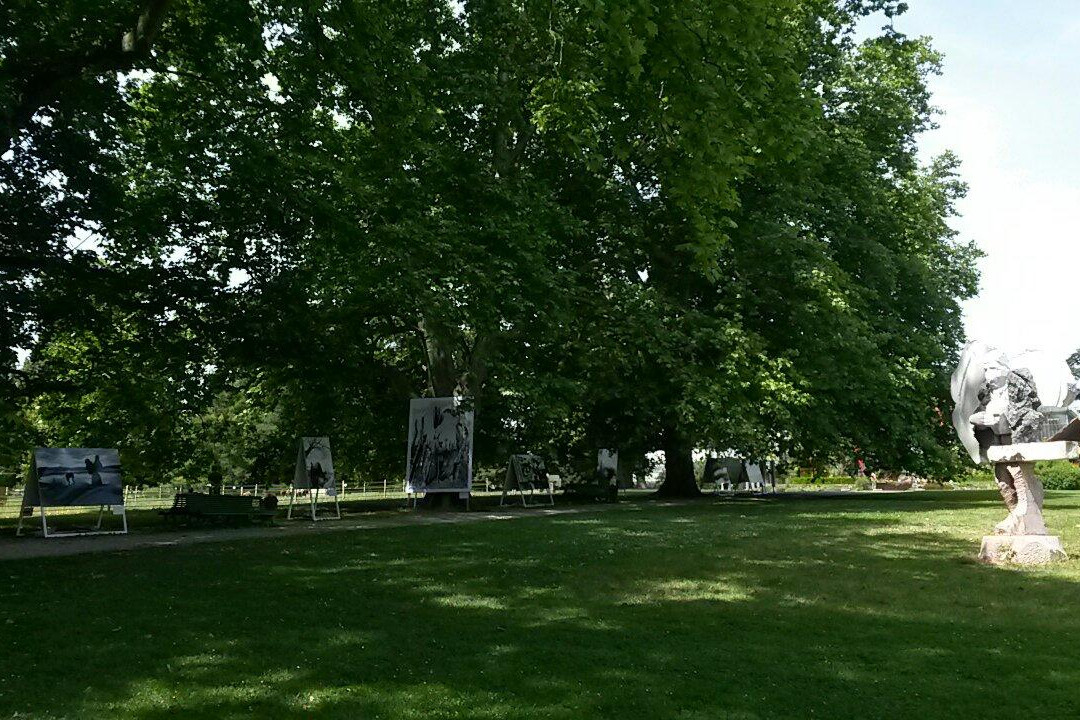 Conservatoire et Jardin botaniques de Genève-Pregny-Chambesy必去景点
