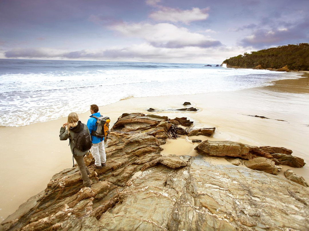 Wilderness Coast Walk景点图片