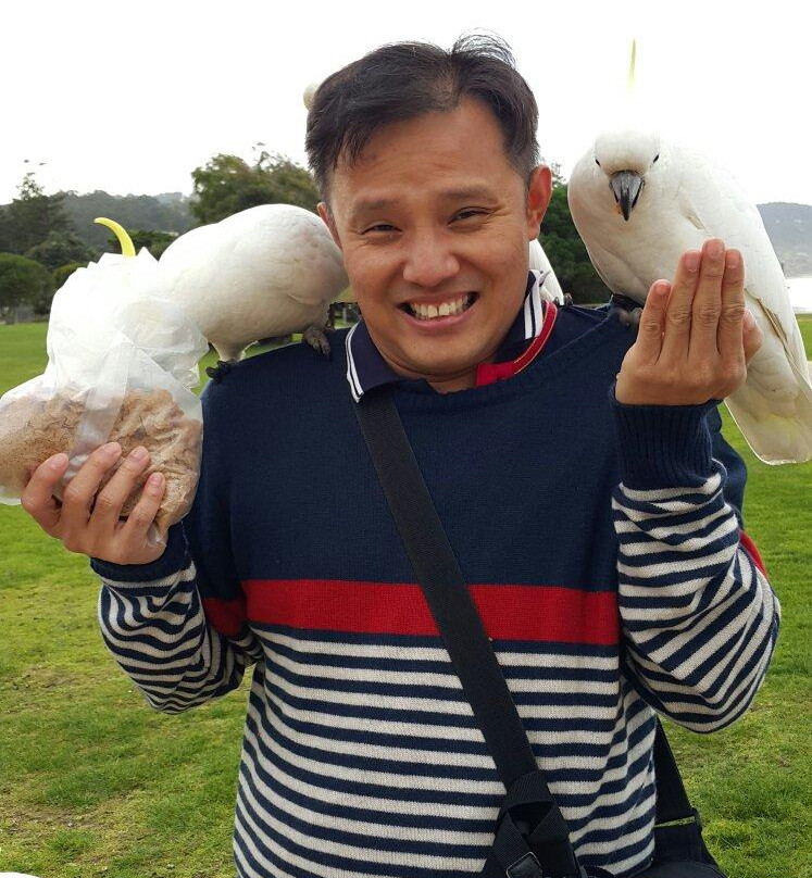 大洋路-阿波罗湾必去景点