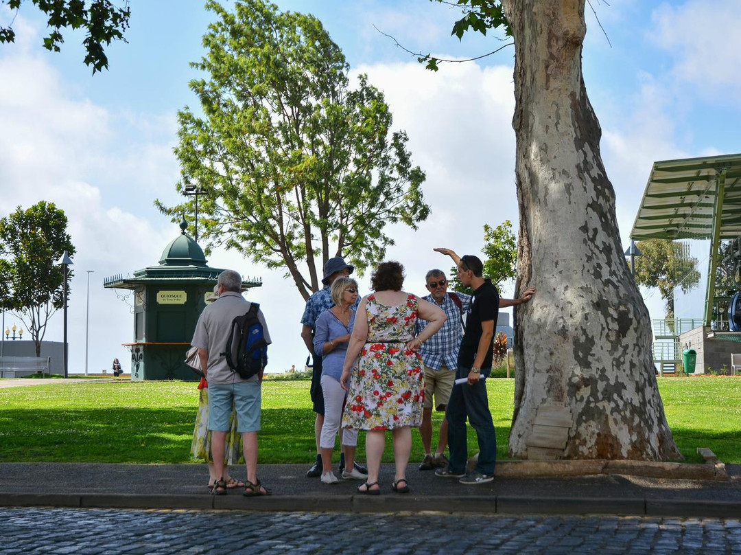 History Tellers-沙尔必去景点