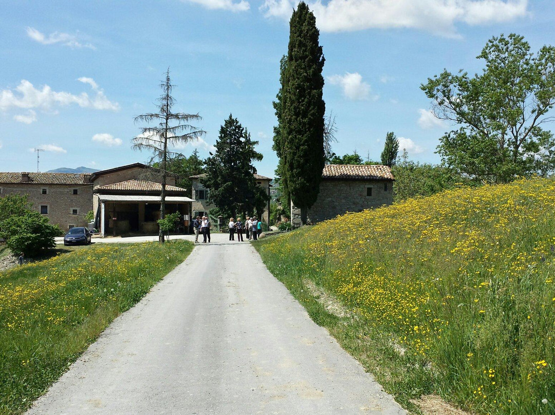 Agriturismo Serra Parenti