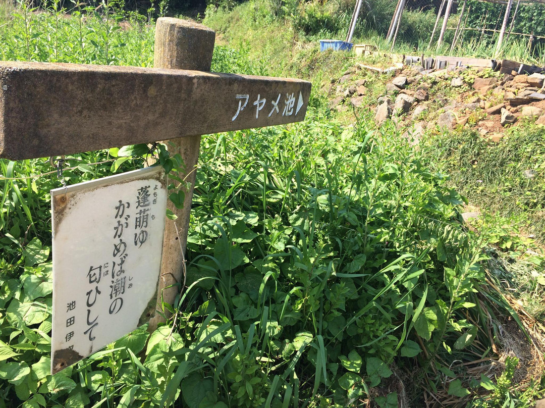 Sakate Island-鸟羽市必去景点