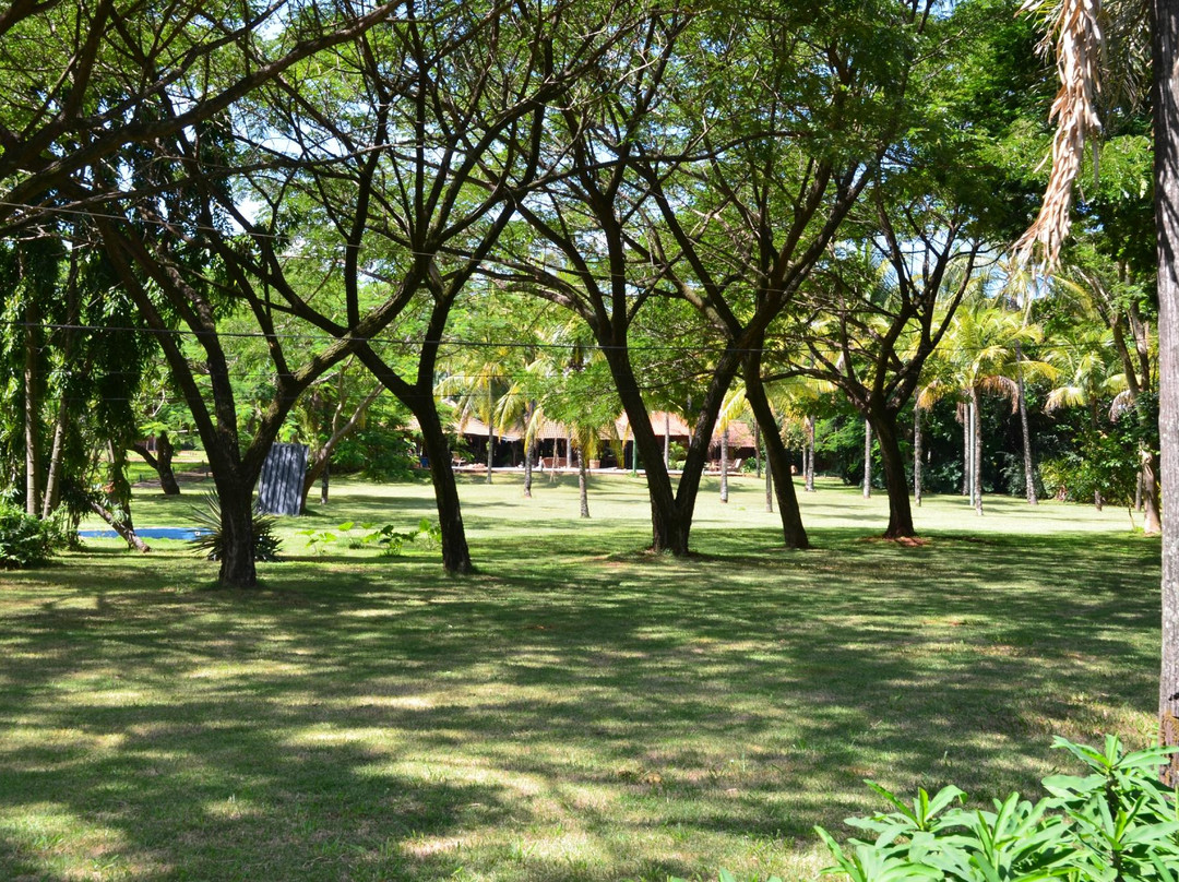 Paineiras Hotel Fazenda主图