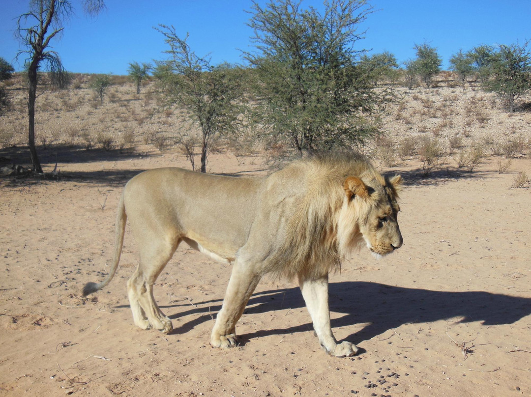 Macit Tours - Day Tours-桑顿必去景点