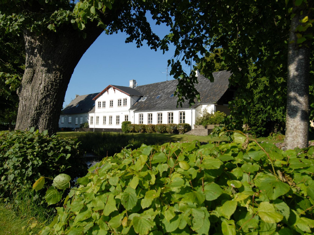 Roenhave