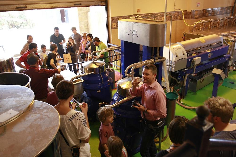 Jenin旅游攻略图片