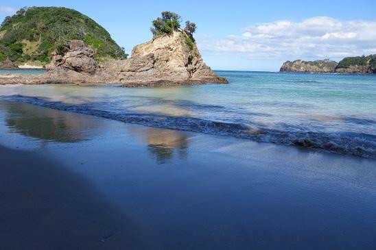Tawharanui Regional Park-瓦卡沃夫必去景点