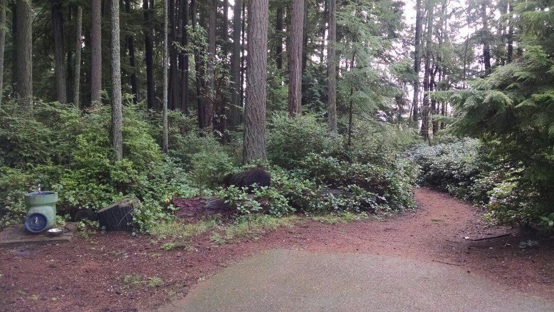 Cushman Trail景点图片
