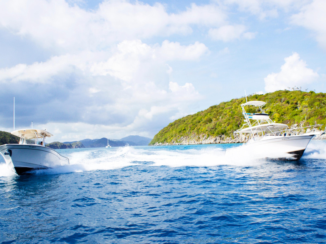 Big Blue Excursions-克鲁兹湾必去景点