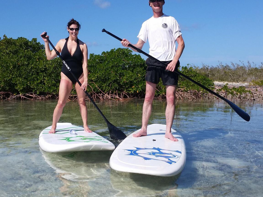 Paddleboard Provo-普罗维登西亚莱斯必去景点