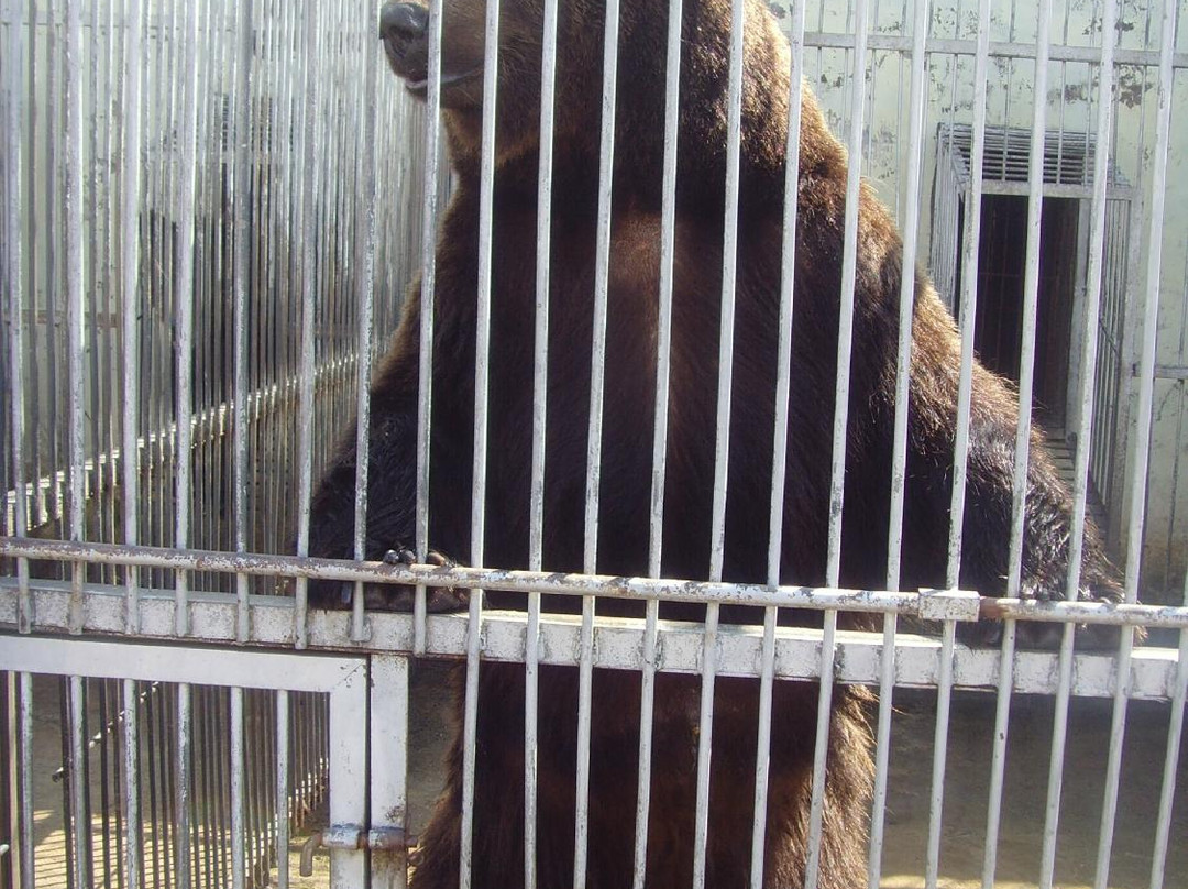 黑宝熊乐园-牡丹江市必去景点