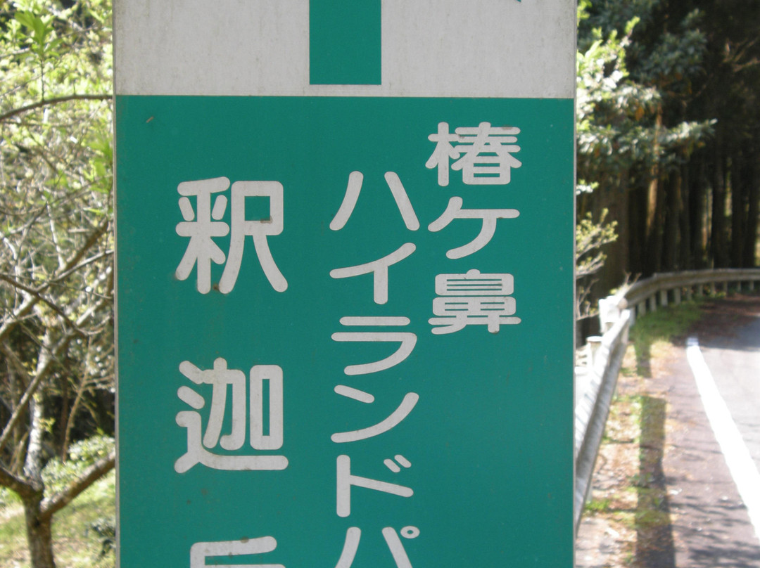 Tsubakigahana Camping Site-日田市必去景点