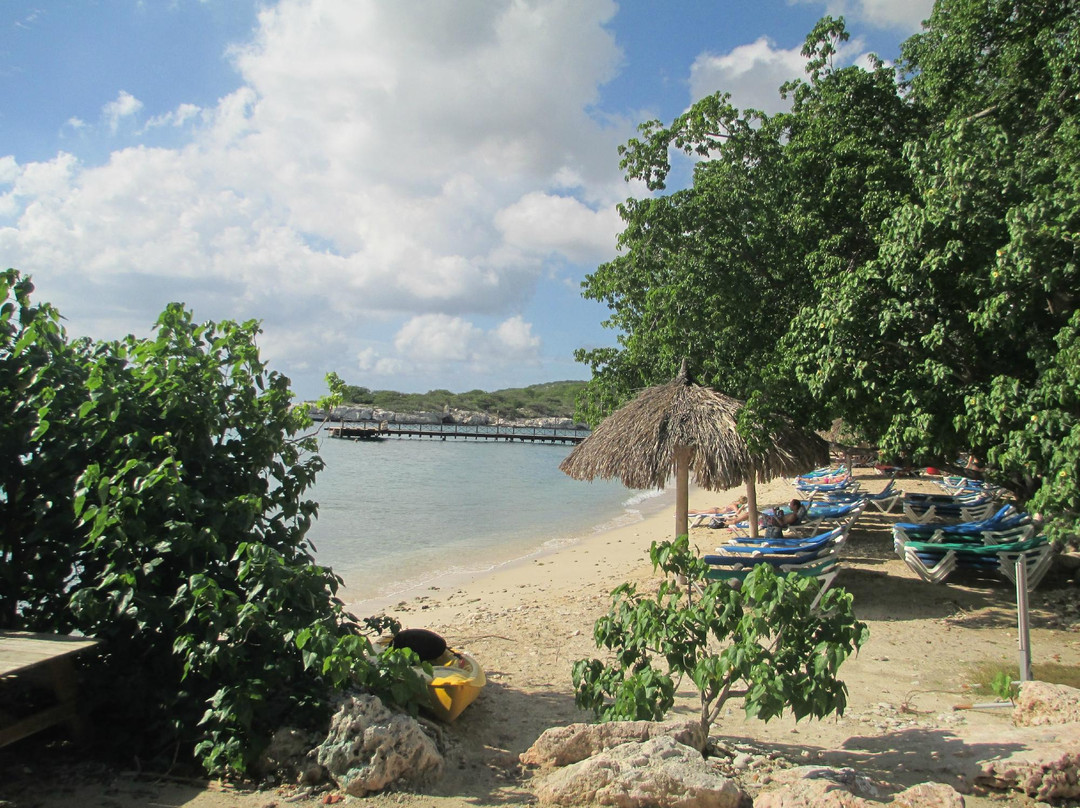 Diveversity Piscadera-库拉索必去景点