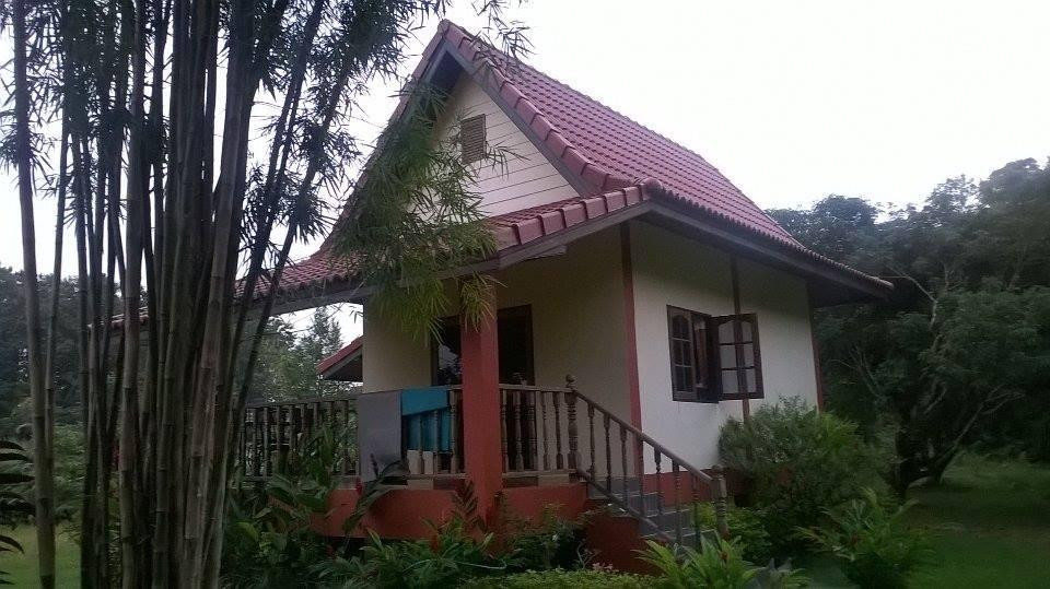 Suancha Tea Garden