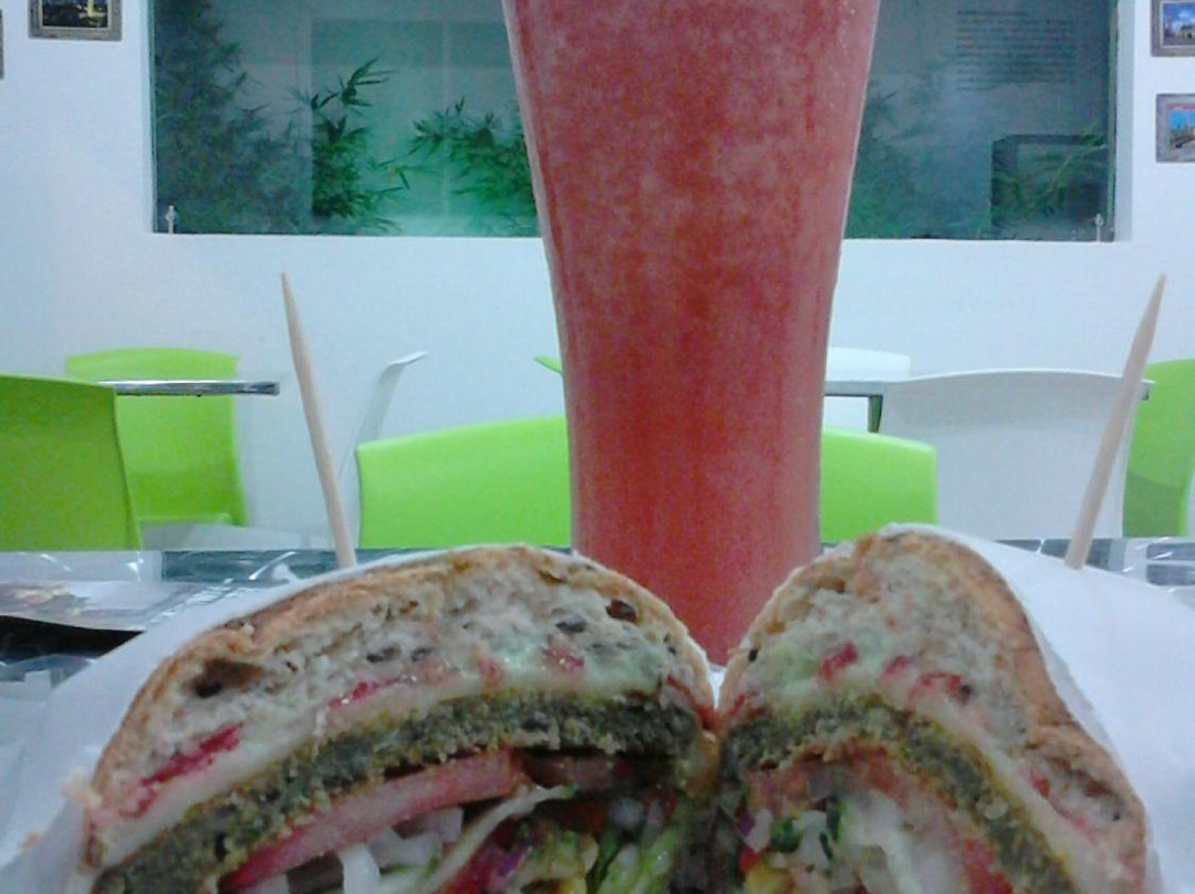 ArteSano Natural Cafe Restaurante