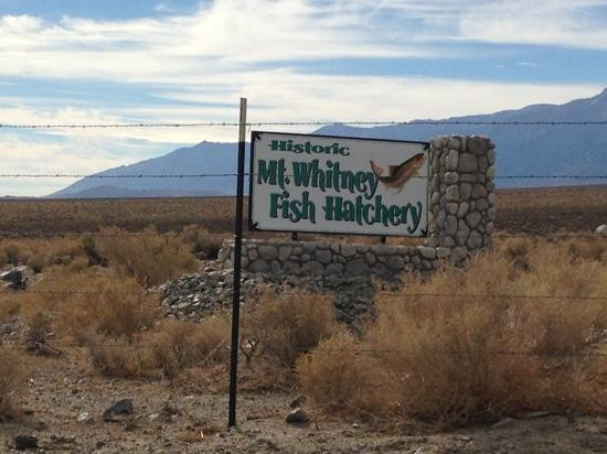 Mt. Whitney Fish Hatchery-Independence必去景点