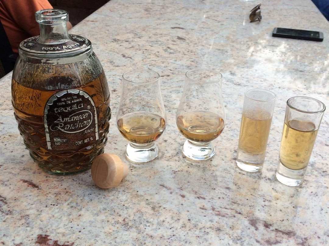 Bodega del Tequila-芝华塔尼欧必去景点