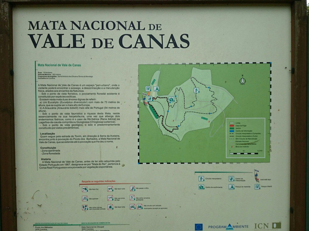 Mata Nacional de Vale de Canas景点图片