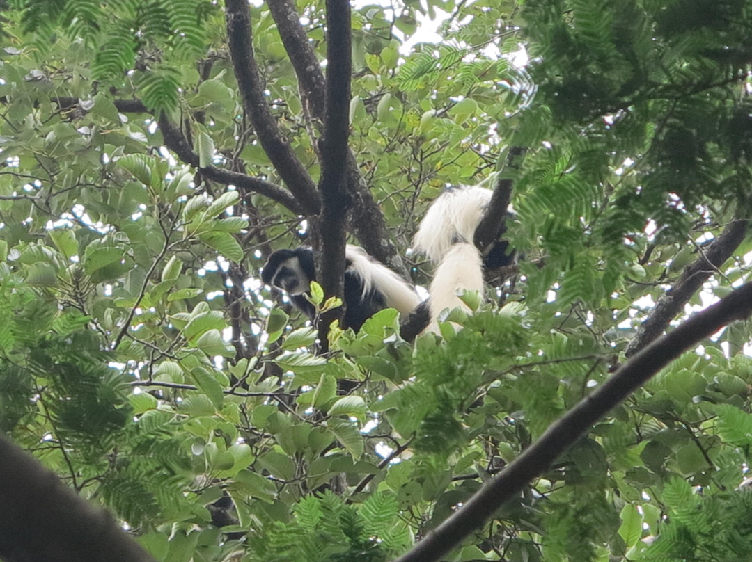 Rau Eco & Cultural Tourism Enterprise-莫西必去景点