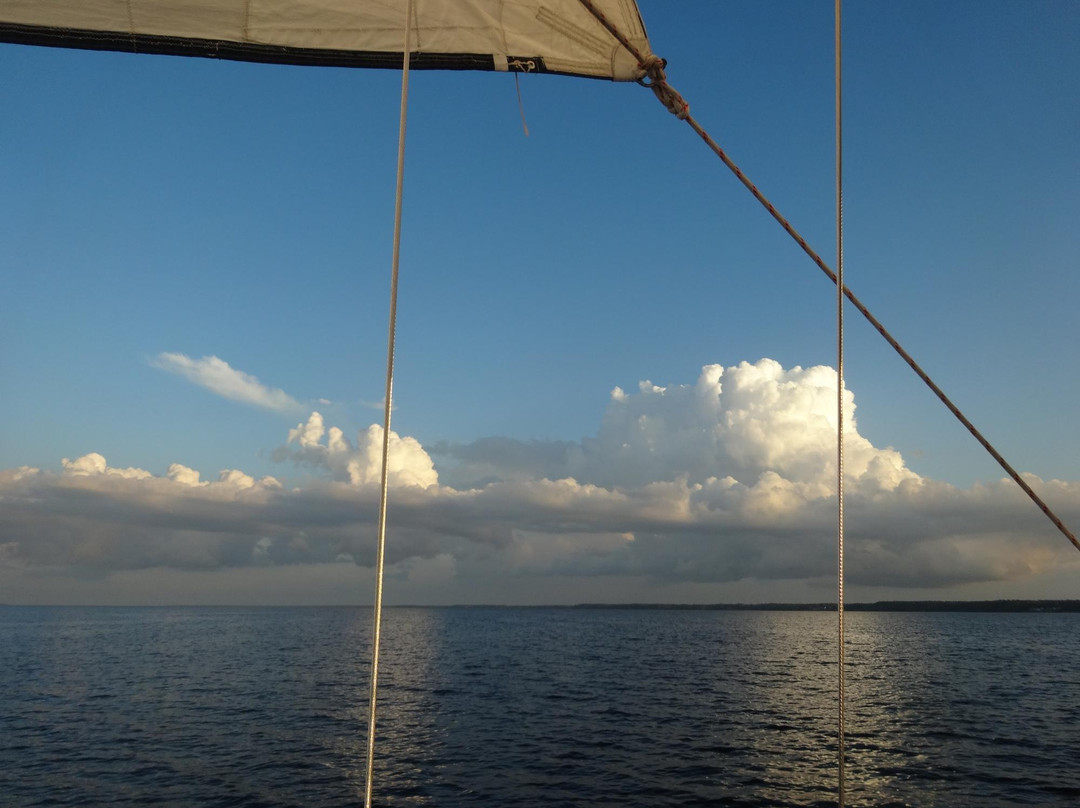 On The Wind Sailing Cruises-新伯尔尼必去景点