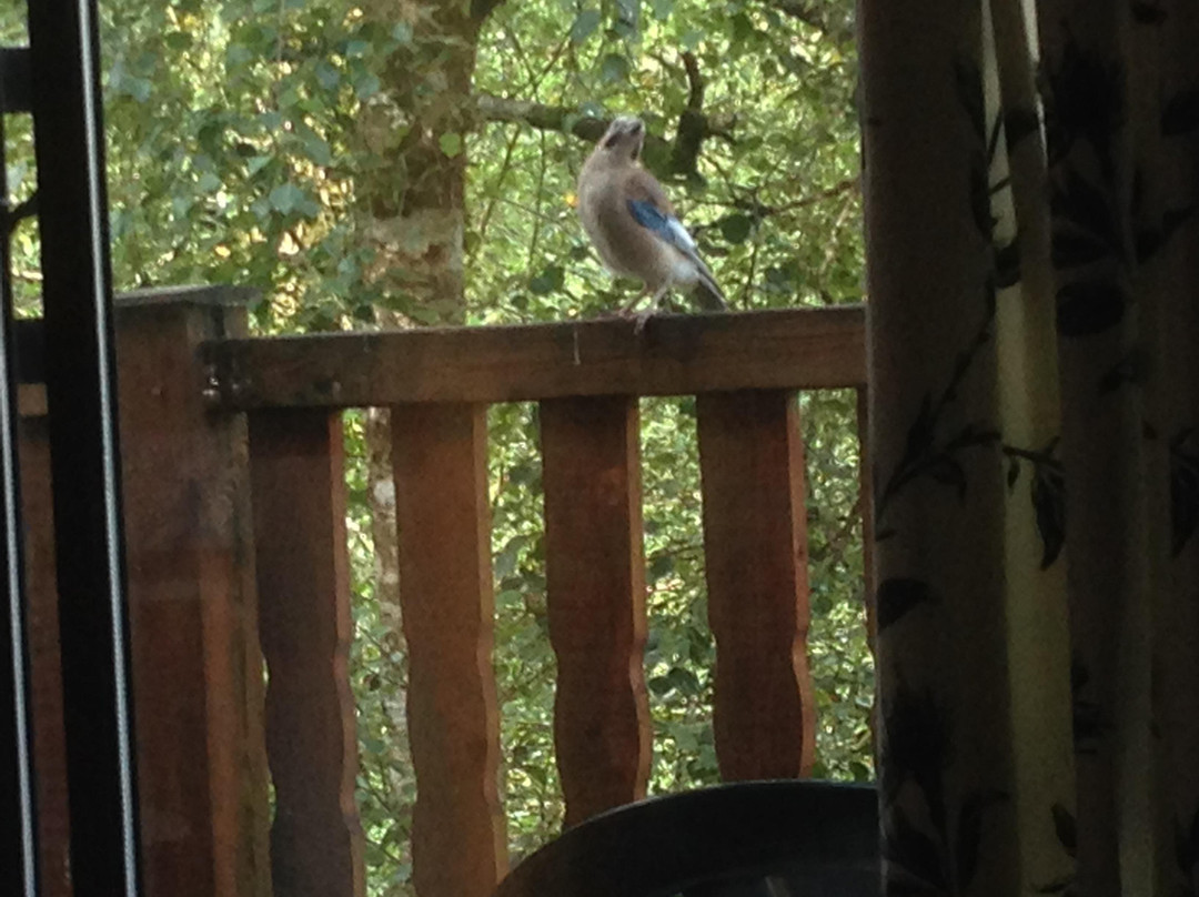 Kingslakes Holiday Cottages-埃克塞特必去景点