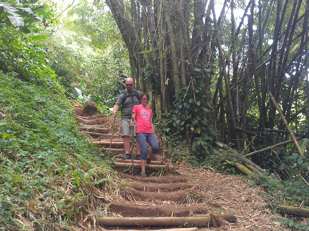 Zeyah Tours & Services-Morne Rouge必去景点