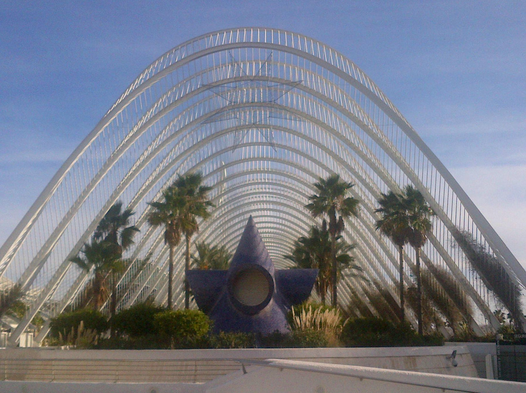 Valencia Private Tours-巴伦西亚必去景点